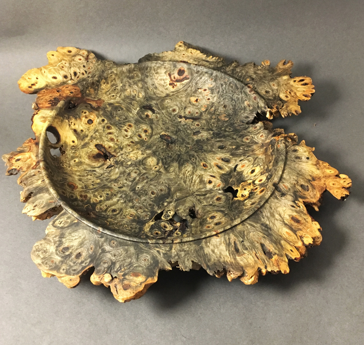 Buckeye Burl Winged Bowl Top