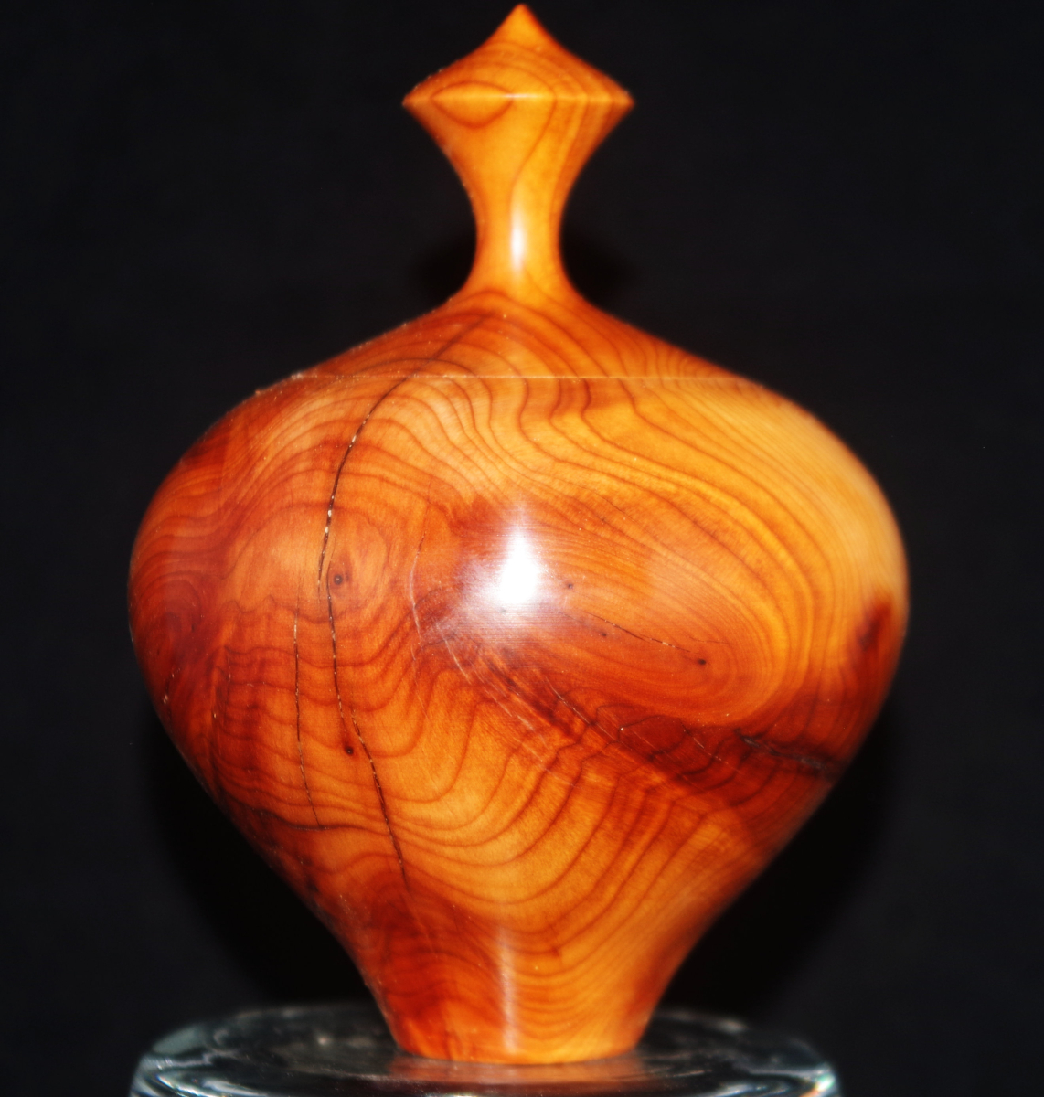 Yew Lidded Box