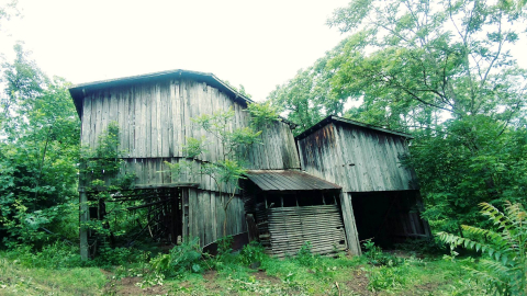 The Tennessee Tobacco Barn