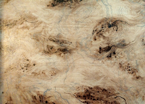 Faux Burl Wood Close Up